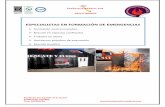 ESPECIALISTAS EN FORMACIÓN DE EMERGENCIAS€¦ · en Madrid el día 27 de Febrero de 2013. ... Curso Formador de Formadores en Extnción de Incendios de la DGT. ... Formadores AVSEC