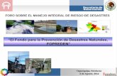 “El Fondo para la Prevención de Desastres Naturales, …proteccioncivil.gob.mx/work/models/ProteccionCivil/Resource/460/2/... · Los desastres se dan por la presencia de una condición