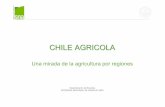 CHILE AGRICOLA v - sna.cl PowerPoint... · • En las regiones agrícolas las tasas de pobreza y de extrema pobreza son 50% más elevadas que en las otras. PIB y empleo en el sector