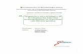 28. Diagnóstico microbiológico de la colonización ...ecaths1.s3.amazonaws.com/ebcunne/210725828.Labo FQ.pdf · 1 Procedimientos en Microbiología Clínica Recomendaciones de la
