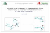 DESARROLLO DE INHIBIDORES DE CORROSIÓN … · direcciÓn de investigaciÓn y posgrado programa de ingenier˝a molecular desarrollo de inhibidores de corrosiÓn para pozos productores
