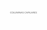 COLUMNAS CAPILARES - [DePa] Departamento …depa.fquim.unam.mx/amyd/archivero/1.8GCcolumnacapilar...Empacadas Capilares WCOT PLOT SCOT Columna empacada Columna capilar Columnas •