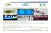 UNIVERSIDAD RICARDO PALMA - urp.edu.pe Informativo Lab Microbiologia.pdf · conocimientos en bioseguridad ... laboratorio de bioseguridad 3), entre muchas otras cosas. Pero, las visitas