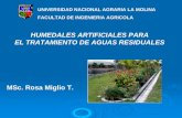 UNIVERSIDAD NACIONAL AGRARIA LA MOLINA …biorem.univie.ac.at/fileadmin/user_upload/p_biorem/education/... · efecto del tratamiento de aguas a través de pantanos naturales, estos
