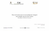 Plan de Acción para la Consolidación Integral de la …ccai-colombia.org/files/primarydocs/1004toli.pdf · La marginación no alude esencialmente a su distancia geográfica o su