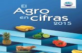 Autoridades del Ministerio de Agricultura, Ganadería y ...web.maga.gob.gt/diplan/download/informacion_del_sector/agro_en... · FUENTE:BANGUAT con datos del Instituto Guatemalteco