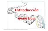 Tema 1: Introducción a la Genéticaecaths1.s3.amazonaws.com/geneticafaz/374677423.INTRODUCCION A … · Por ejemplo, el bagaje genético que recibe un vegetal es diferente al que