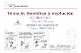 Tema 6. Genética y evolución - dpbiologia.weebly.comdpbiologia.weebly.com/uploads/2/1/5/5/21553524/gtp_t6.genética_y... · herencia de los genes sigue ... Teniendo en cuenta todos