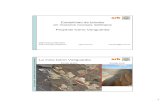 Estabilidad de taludes en macizos rocosos isótropos ... · Estabilidad de taludes en macizos rocosos isótropos Proyecto Cerro Vanguardia ... Zona con “daño” por voladura ...