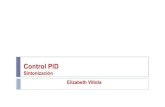 Ingeniería de Control II - MT224 - …bionanouni.wdfiles.com/.../MT221-ControlPID-Sintonizacion.pdf · Control PID 2 •Control PID una de las formas más comunes de usar realimentación