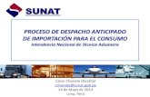 SUNAT - Exportaciones Peruanas | SIICEX · Ley General de Aduanas aprobado por Decreto Supremo Nº 010-2009-EF publicado el 01.10.2013 Resolución N°0273-2013-SUNAT/300000 Modifica