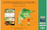 Análisis del Balance de Energía derivada de Biomasa … · Análisis del Balance de Energía derivada de Biomasa en Argentina - WISDOM Argentina - Informe Final FAO Departamento