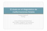 El duelo en el diagnóstico de malformaciones fetales · -Mortinato-Pérdida en embarazos múltiples-Pérdida del neonato A.P. López , 2011, p-59-62 ... mortalidad perinatal y aumento