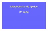 Metabolismo de lípidos 2ªparte · • Hígado, riñón, tejido adiposo, músculo ... cerebro (adaptado a la inanición), músculo esquelético, riñón,corazóny otros. •Localización