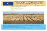RESULTADOS DE EXPERIMENTACIÓN AGRARIA - …pagina.jccm.es/agricul/paginas/desarrollorural/investigacion/exp... · De esta manera, las esperanzas de una gran cosecha, se vieron frustradas