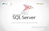 Características Generales de SQL - doc.lagout.org · calidad de los datos de la base de datos. ... otro SGBD que permiten acceder a la información de la estructura de una BD. Para