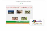 LOS ANIMALES VERTEBRADOS.pdf - Página 1contenidos.educarex.es/mci/2008/02/udi_primaria/pdf/LOS ANIMALES... · Los animales vertebrados son aquellos que tienen una columna vertebral.