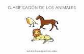 CLASIFICACIÓN DE LOS ANIMALES · 1. Clasificación de los animales según su estructura (vertebrados e invertebrados) 2. Clasificación de los animales según su alimentación