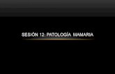 SESIÓN 12: PATOLOGÍA MAMARIA · • Adenoma pituitario • Anticonceptivos ... -coloración de la piel ganglios axilares y supraclaviculares-número -localización -tamaño -fijación