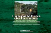 Estudio psicosocial del impacto de las explotaciones ...pdf2.hegoa.efaber.net/entry/content/442/Las_palabras_de_la_selva.pdf · de las explotaciones petroleras de Texaco en las comunidades