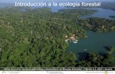 Introducción a la ecología forestal - elti.fesprojects.netelti.fesprojects.net/2015_AguaSalud/Charla2.pdf · Contenido 1. Variación espacial en la composición y estructura de