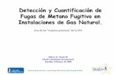 Detección y Cuantificación de Fugas de Metano Fugitivo en Instalaciones ... · Reducing Emissions, Increasing Efficiency, Maximizing Profits Detección y Cuantificación de Fugas