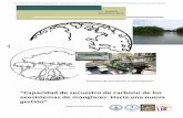 “Capacidad de secuestro de carbono de los ecosistemas de ...ect-global.com/documentos/resumenproyecto.pdf · El manglar es un ecosistema ubicado en la zona de transición entre