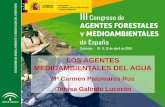 LOS AGENTES MEDIOAMBIENTALES DEL AGUAaamaa.es/3CAFMA/comunicaciones/CO16.pdf · • Planes Hidrológicos de Cuenca. IMAGEN CORPORATIVA ... Orden ARM/3123/2011, de 3 de noviembre,