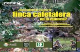 MaquetaciÃ³n 1 - Alianza SIDALCorton.catie.ac.cr/repdoc/A3879e/A3879e.pdf · CATIE (Centro Agronómico Tropical de Investigación y Enseñanza) es un centro regional dedicado a