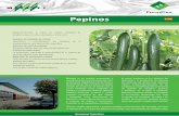 Pepinos - Metazet: Homemetazet.com/fileadmin/user_upload/pdf/SP/MTZ-FF_Teeltgootsysteem... · Metazet es un nombre prominente y mundialmente conocido en el sector de la horticultura.