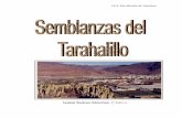 I.E.S. San Nicolás de Tolentino - ieslaaldea.com · En 1951 hacen la casa en El Tarahalillo, que con el paso del tiempo pasa de ser un pequeño caserío al agrandarse con más casas,