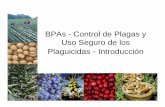 BPAs - Control de Plagas y Uso Seguro de los … · Antecedentes • Demanda global por la inocuidad de los alimentos, inocuidad aplica tanto al alimento producido localmente como