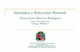 Genética y Selección Natural - Universidad Nacional de ...poboyca/documentos/documentos1/Vida... · Considera como se relacionan las frecuencias alélicas y genotípicas en una
