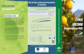 Suscríbase a la INTRODUCCIÓN Newsletter RAIF … HLB.pdf · 1 Esté alerta ante cualquier síntoma sospechoso. 2 Utilice material vegetal procedente de productores oficialmente