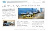 TREINTA Y TRES AÑOS DE LA IRRADIACIÓN … 33 aniversario PIG.pdf · mediante la instalación de una mesa hidráulica de altura regulable y una plataforma para maniobrar a nivel