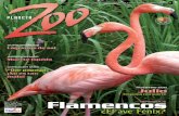 PLANETA ZOO - Fundación Botánica y Zoológica de ... Zoo-08.pdf · exhibir una variada colección de animales silvestres y domésticos, tanto nativos como foráneos, y ofrecer escenarios