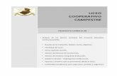 LICEO& COOPERATIVO&& CAMPESTRE&&liceocooperativocampestre.com/materiales/archivos adjuntos... · Responsabilidad:! facultad! que! permite! al! ser! humano! interactuar,! comprometerse!