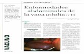 Patología ruminales - Presentaciónpatologiageneral.weebly.com/uploads/1/1/7/2/11726828/patologas... · En el caso de que el ciego estuviera degenerado y necrótico sc amputaría