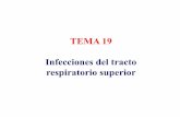 TEMA 19 Infecciones del tracto respiratorio superior · mejor muestra: aspirado de secreciones nasofaríngeas con catéter con ... Cultivo de las muestras. Agar Regan-Lowe o agar
