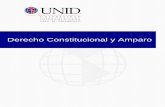 Derecho Constitucional y Amparo - moodle2.unid.edu.mxmoodle2.unid.edu.mx/dts_cursos_mdl/pos/DR/CA/S10/CA10_Lectura.pdf · La etapa inicia con la denuncia o querella de la cual tiene