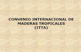 CONVENIO INTERNACIONAL DE MADERAS … · bosques tropicales con inclusión de un formato de informes¨ •En esencia, ... se inicia el proyecto ¨Aplicación y Entrenamiento de ...