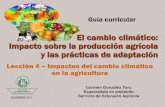 El cambio climático: Impacto sobre la producción …academic.uprm.edu/gonzalezc/HTMLobj-880/ccleccion4presenta.pdf · Principales factores: • Cambio en cantidad e intensidad de