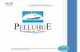 PUBLICA 2011 - Municipalidad de Pelluhue · Investigación sumaria caída pasarela peatonal ... Desarrollo de acción local PRODESAL Unidades I y II.- ... CUADRO COMPARATIVO CON LOS