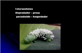 Interacciones Depredador - presa parasitoide - …ecaths1.s3.amazonaws.com/ecologiageneral/830152694.clase... · Respuesta funcional tipo II y el tiempo de búsqueda del depredador.