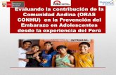 Evaluando la contribución de la Comunidad Andina …. Evaluando la... · Bolivia, Colombia, Chile, Ecuador, Perú y Venezuela, agrupados en el Organismo Andino de Salud-Convenio