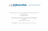 MEJORANDO EL ACCESO A LOS MERCADOS ENERGÉTICOS …biblioteca.olade.org/opac-tmpl/Documentos/old0374.pdf · I. Introducción ... y a partir de los balances energéticos de Honduras,