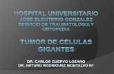 TUMOR DE CELULAS GIGANTES - mic.com.mx€¦ · 5 y 8.6% de los tumores óseos primarios ... Fracturas patológicas en 5-10% . ... TRAUMATOLOGIA Y ORTOPEDIA