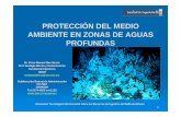 PROTECCIÓN DEL MEDIO AMBIENTE EN ZONAS … · y abandono de pozos petroleros en zonas marinas mexicanas, con objeto de prevenir y mitigar los impactos ambientales que puedan generar