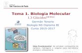 Tema 1. Biología Moleculardpbiologia.weebly.com/uploads/2/1/5/5/21553524/gtp_t1._biología... · Germán Tenorio Biología NS-Diploma BI Curso 2015-2017 Tema 1. Biología Molecular