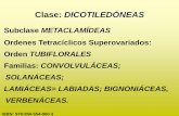 Clase: DICOTILEDÓNEASecaths1.s3.amazonaws.com/botanicasistematica... · ORDEN TUBIFLORALES •Flores actinomorfas o zigomorfas. Corola de forma variada, prefloración imbricada.